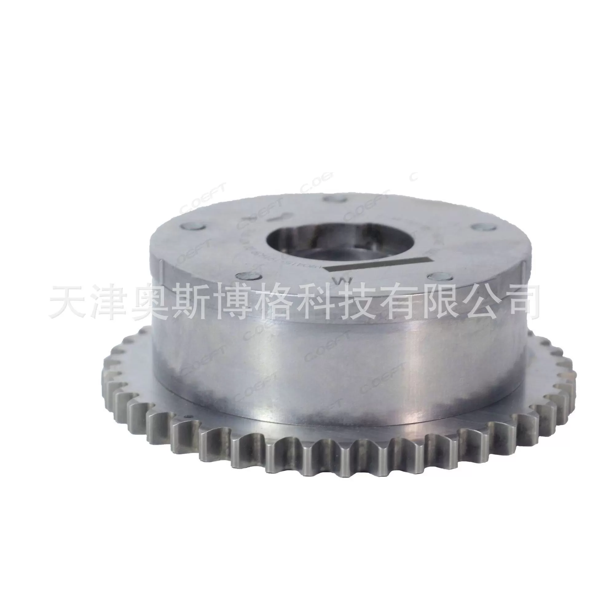 New Auto Parts VVT Timing Gear Camshaft Adjuster E4G16-1006040BB BC BA (INT) for Chery 4G16