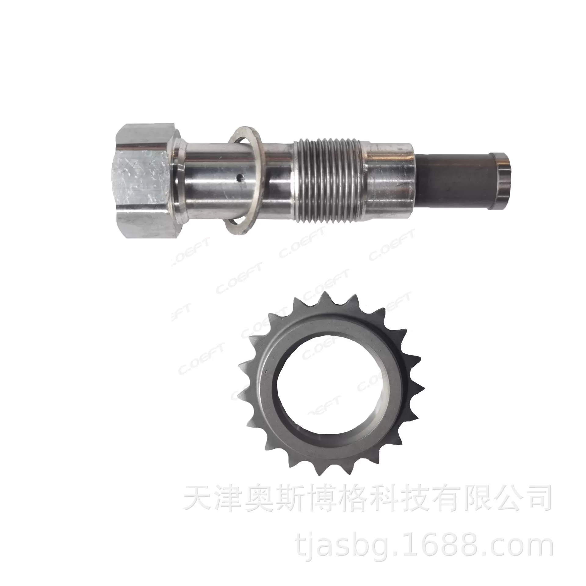 Timing chain kit for BMW N52, N51, N55 engines, 5 Series ASBG-BM.N52-9