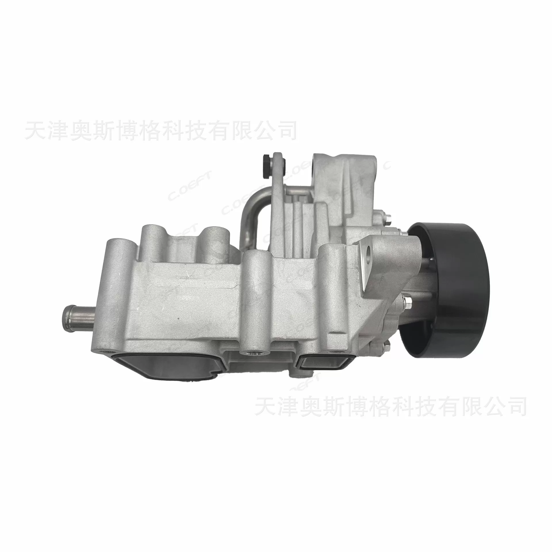 Cooling Circulation Water Pump F4J21 for Chery Jietu & Exeed (2.0T Engine)