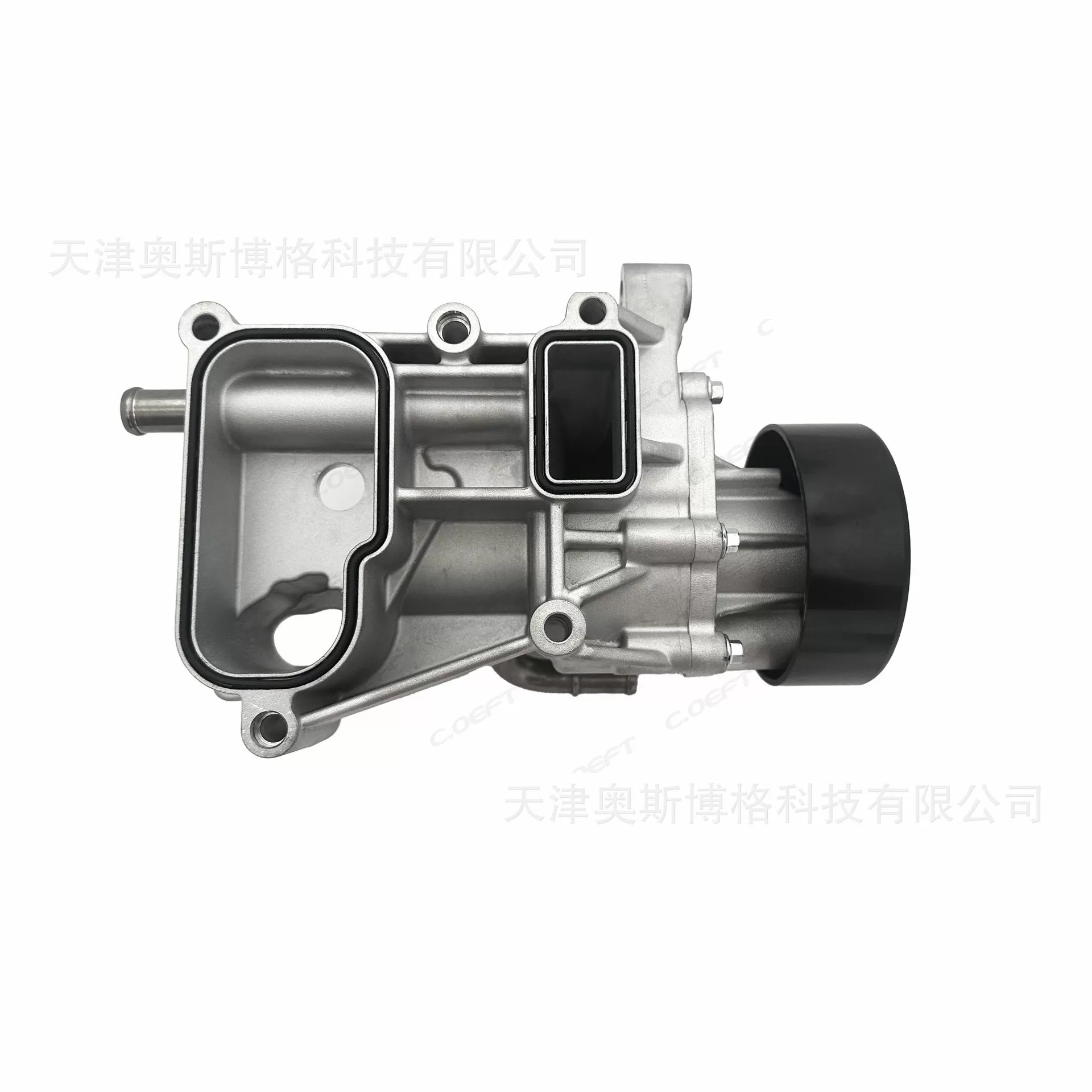 Cooling Circulation Water Pump F4J21 for Chery Jietu & Exeed (2.0T Engine)