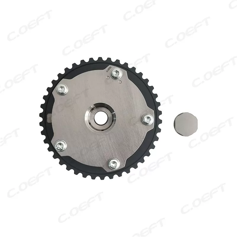 For Lada (Russia) Timing Camshaft Gear 21176106501000