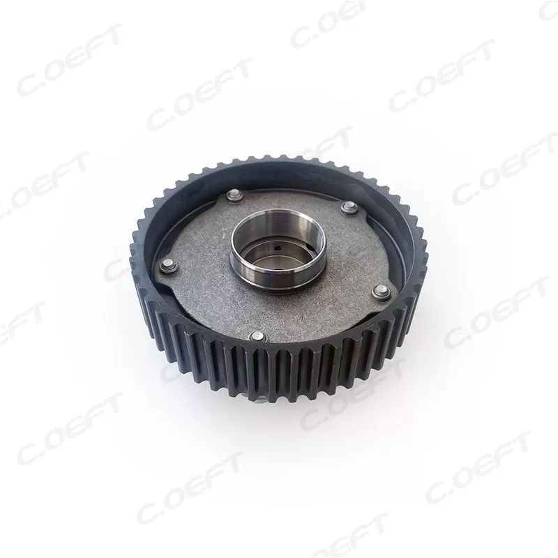 For JAC M4 2.0 VVT Timing Gear 1007301GD150A F-347888.01