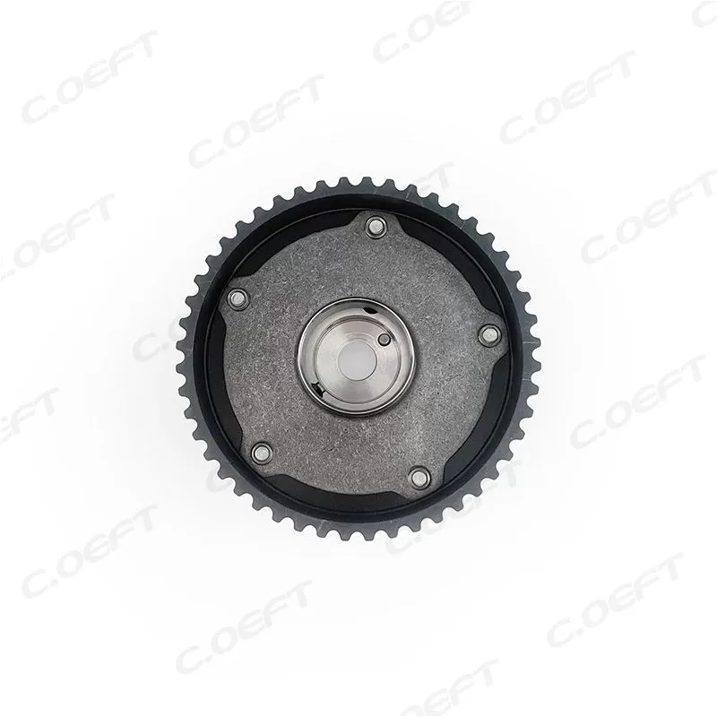 For JAC M4 2.0 VVT Timing Gear 1007301GD150A F-347888.01